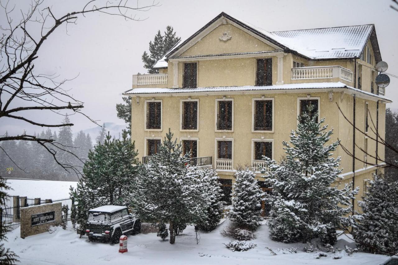 Hotel Art Montana Predeal Esterno foto